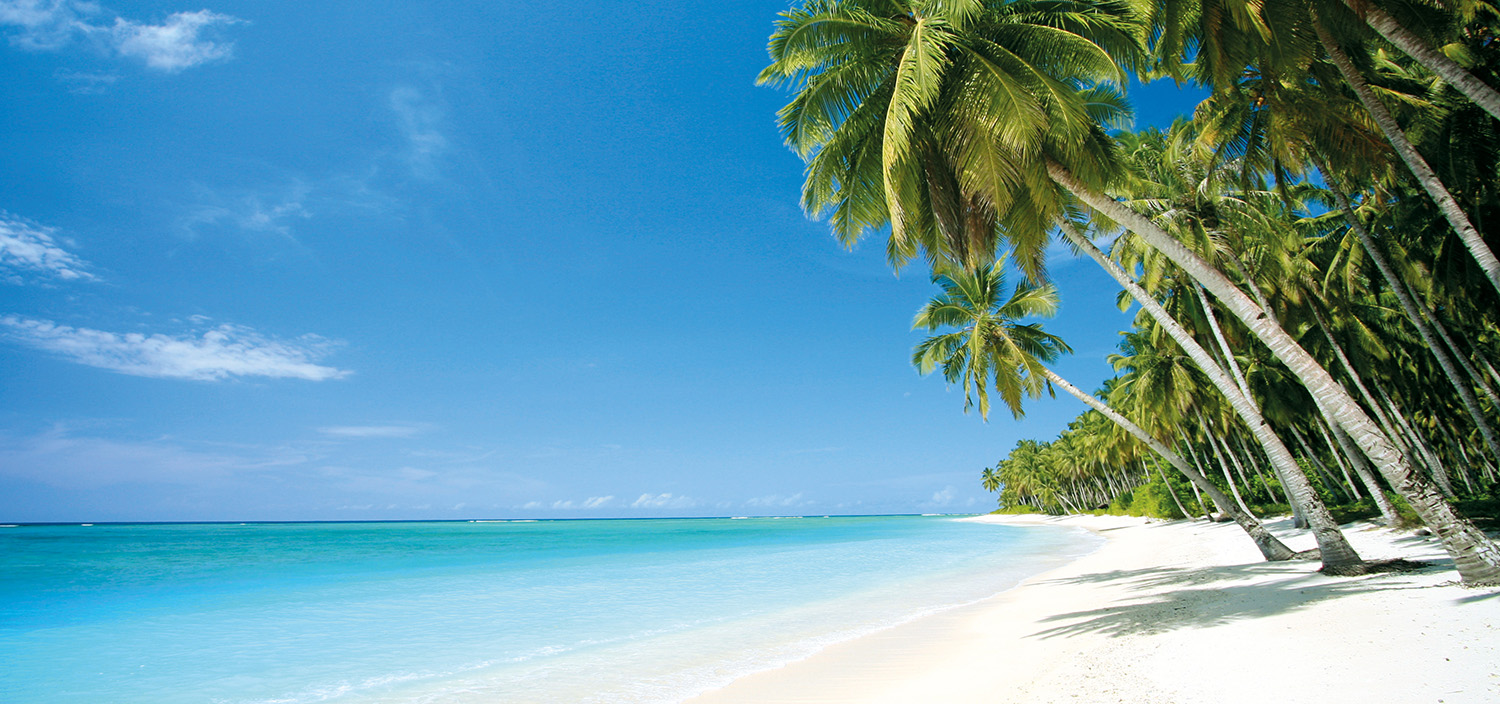 Calm blue waters and a palm-fringed beach on a Fiji yacht charter 